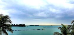 Siloso Beach Walk (D4), Detached #487138741
